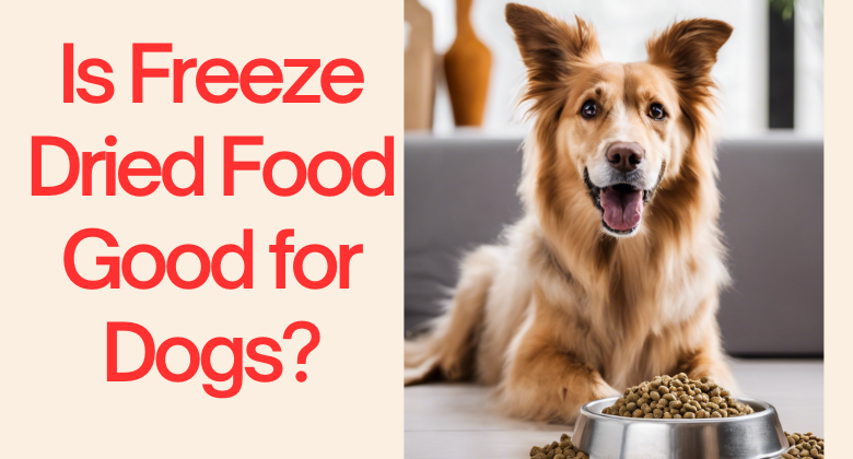 Is Freeze Dried Food Good for Dogs?