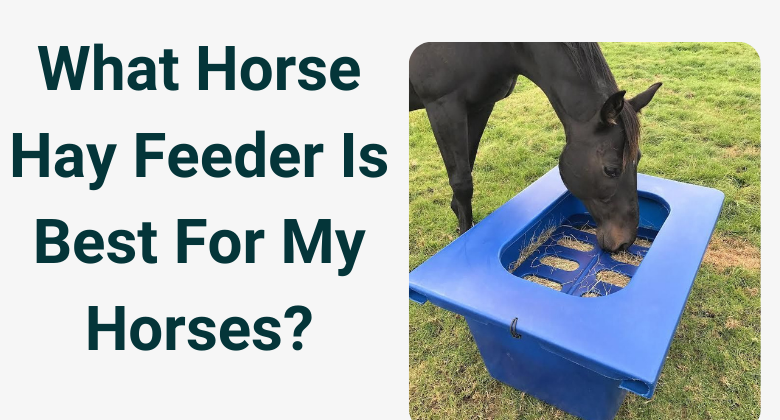 BEST HORSE HAY FEEDER