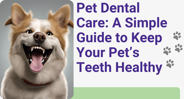 pet dental care